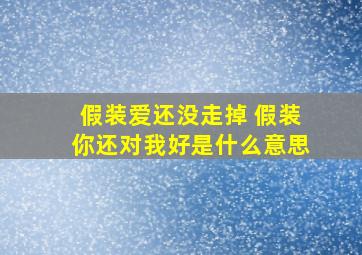 假装爱还没走掉 假装你还对我好是什么意思